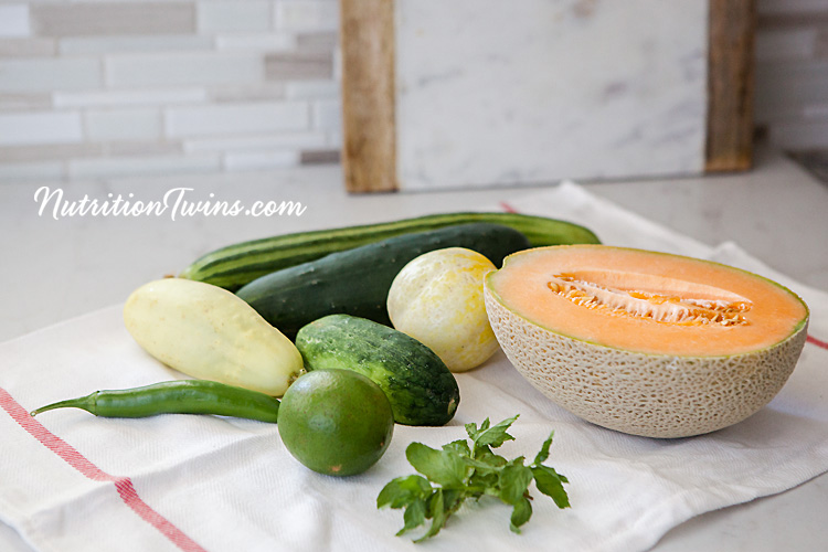 0001_NutritionTwins-cucumber-melon-cantaloupe-lime-mint-serrano-pepper-salad-summer_logo