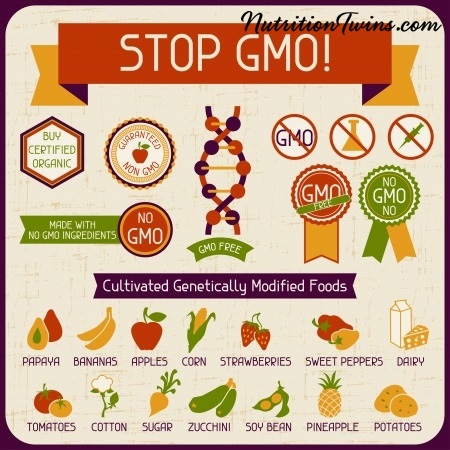 19424538 - information poster stop gmo